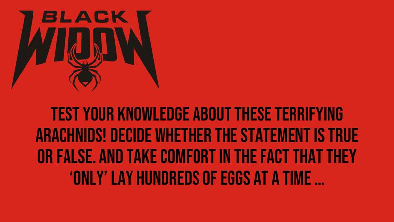 Black Widow